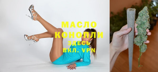 гашик Аркадак