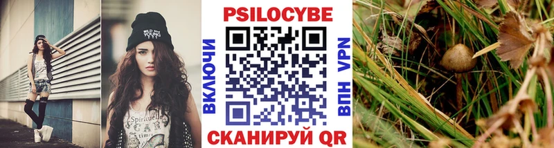Псилоцибиновые грибы GOLDEN TEACHER  Ивантеевка 
